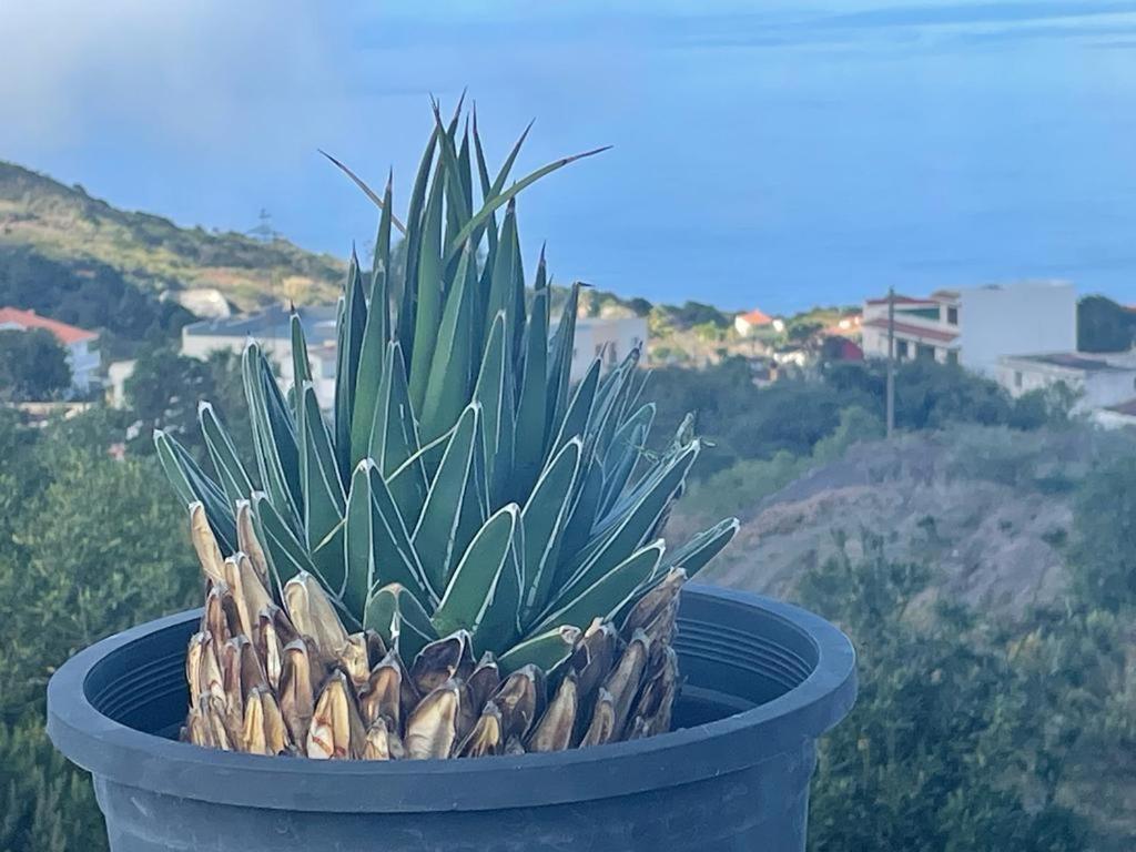 La Casa De Mami Villa El Tanque Kültér fotó