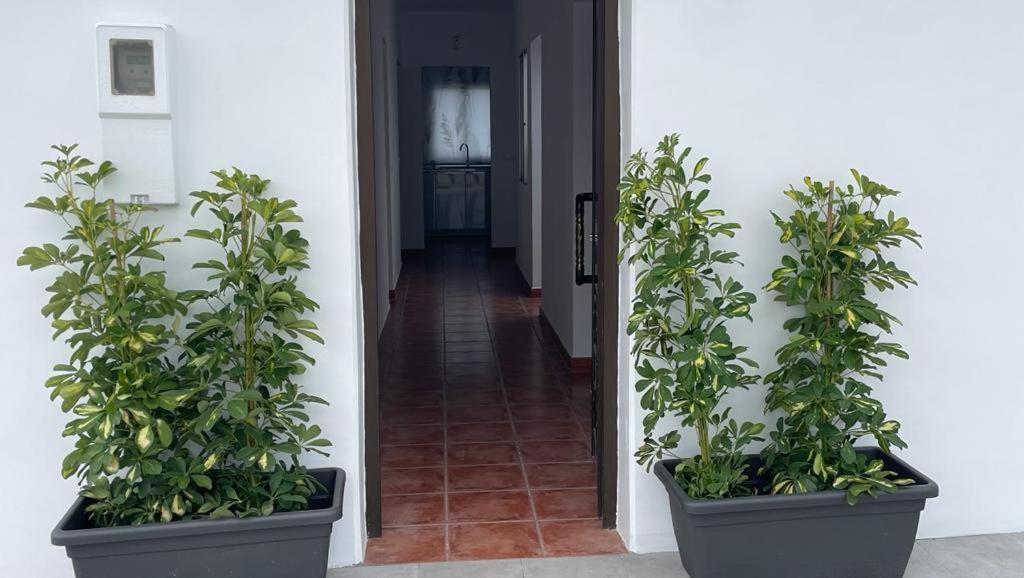 La Casa De Mami Villa El Tanque Kültér fotó